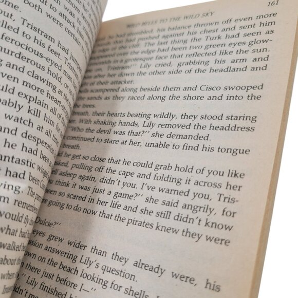 Wind Bells to the Wild Sky by Laurie McBain – 1988 Vintage Paperback - Picture 10 of 13